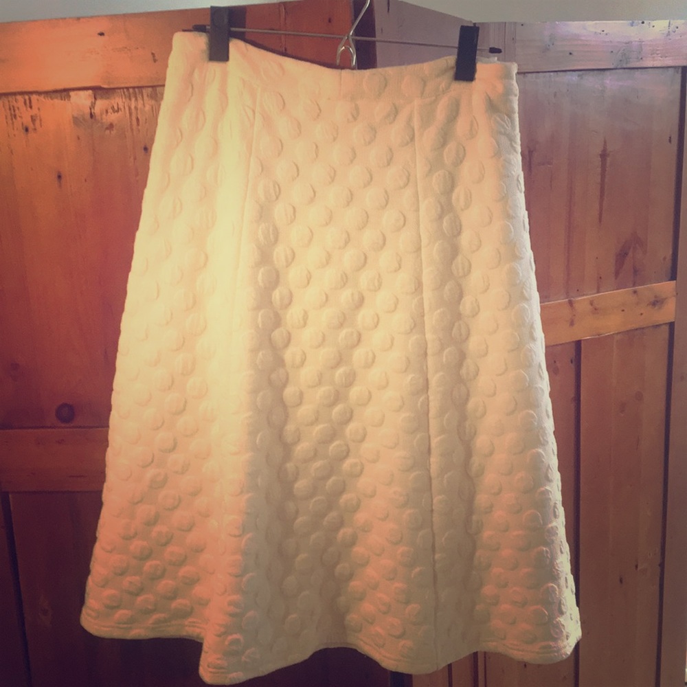 Anthropologie skirt